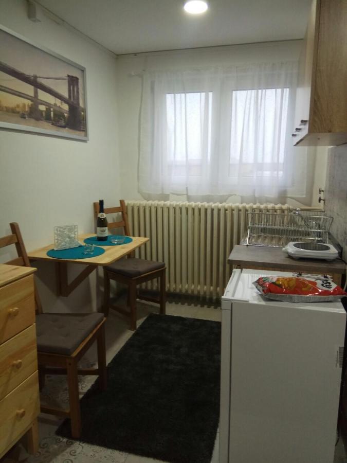 Apartament Tatjanina Garsonjera Subotica Zewnętrze zdjęcie